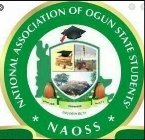 NAOS distance selves from protest against Dapo Abiodun