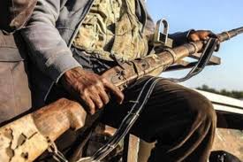 Armed Herdsmen Strike in Ibarapa, kill a Farmer