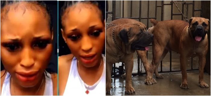 Nigerian Police goes after lady In Viral Sex-with-dog Video